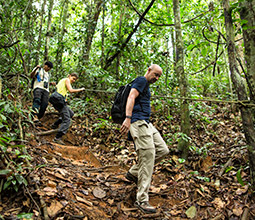 Tourists descending from the trees of Madre de Dios